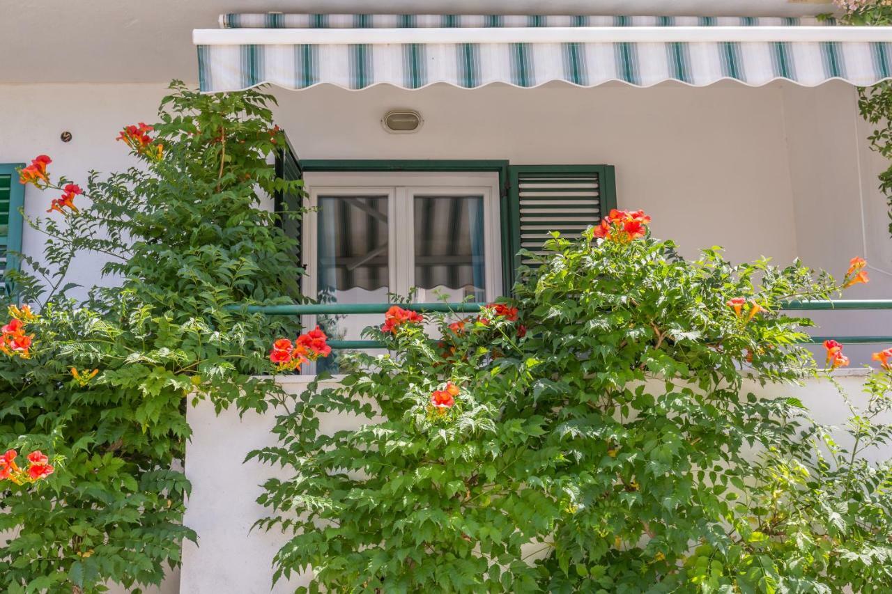 Apartmani Marko Tučepi Exteriér fotografie